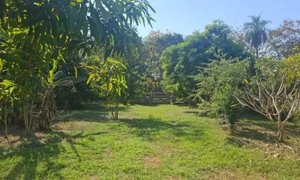 Chácara / sítio com 2 quartos à venda na Rua Estevão Alves Correa, 111, Centro, Aquidauana