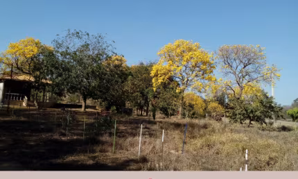 Chácara à Venda Próximo a Lagoa da Prata – Fazenda Jacaré
