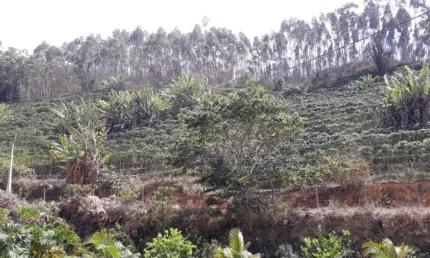 Terreno à venda no Alto Caldeirão, Santa Teresa 