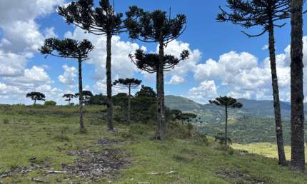Lindas áreas em Urubici, parcelados (sem banco) direto com proprietário  30% entrada e saldo em 36x.