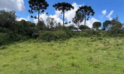 *Terreno de 24 hectares* com excelente potencial de aproveitamento e *vista panorâmica de 360 graus, localizado a apenas **2,5 km da SC-110* (acesso asfaltado), na *Vila Pericó