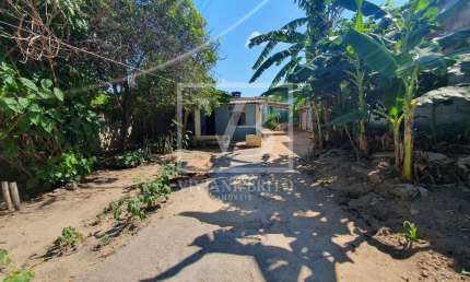 LOTE PLANO COM ARVORES FRUTÍFERA, BAIRRO CACHOEIRA, BETIM - MG
