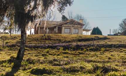 Chácara / sítio com 3 quartos à venda na Rodovia Br 453, Km 176,5, 310, Vila Seca, Caxias do Sul