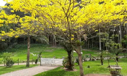 Chácara / sítio com 2 quartos à venda na Avenida Dante Marcucci, 5403, Fazenda Souza, Caxias do Sul