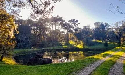 Chácara / sítio com 2 quartos à venda na Avenida Dante Marcucci, 3801, Fazenda Souza, Caxias do Sul
