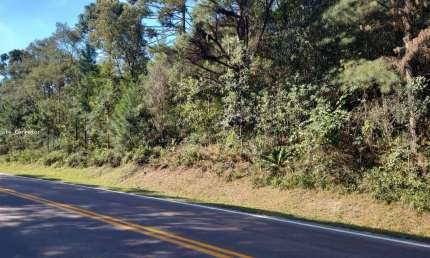 Terreno comercial à venda no Trigolândia, Piên 