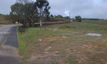 Terreno comercial à venda no Trigolândia, Piên 