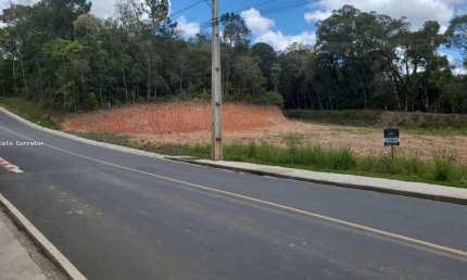Terreno à venda na Avencal, Piên 