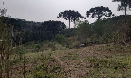 Terreno à venda em Taboão, Agudos do Sul 