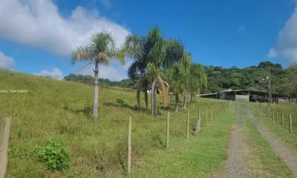 Chácara / sítio à venda no Trigolândia, Piên 