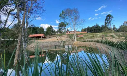 Chácara / sítio à venda no Trigolândia, Piên 