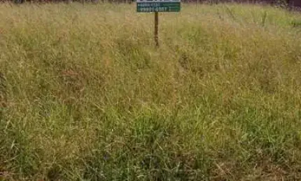 Terreno à venda por R$ 98240.00, 255.00 m2 - JARDIM BELA VISTA - LOBATO/PR
