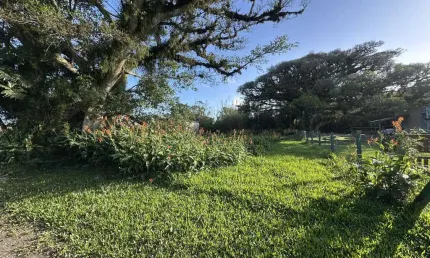 Terreno para Venda em Cidreira | Diego Imóveis | 243