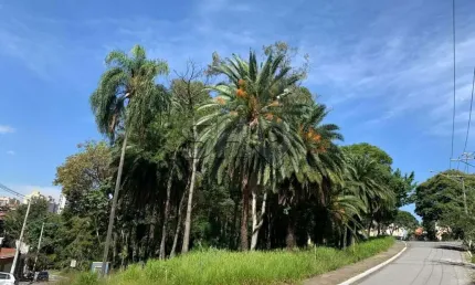 Terreno à venda na Rua Japira, 260, Jardim Franca, São Paulo por R$ 1.590.000