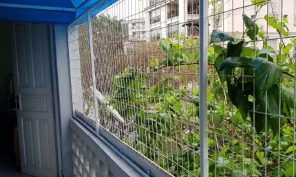 Casa com 2 quartos à venda na Rua Sacadura Cabral, 129, Lapa, São Paulo por R$ 449.000