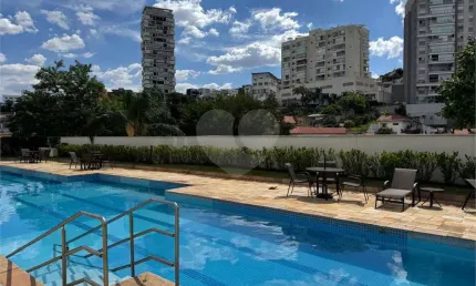 Apartamento com 2 quartos à venda em vila ipojuca - sp