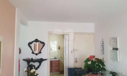 Apartamento com 2 quartos à venda em vila hamburguesa - sp