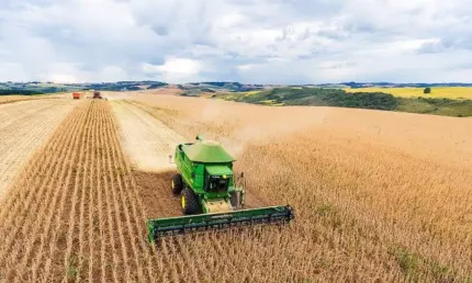 Oportunidade: Fazenda 62 Alqueires dentro de Goiânia