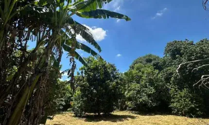 Terreno condominio residencial vale das laranjeiras