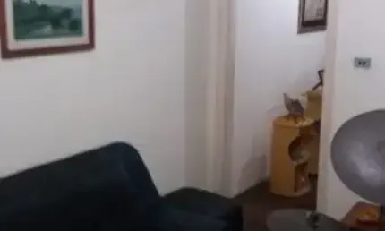 Sobrado 196m² à venda - 2 dormitórios -  olímpico - são caetano do sul - sp