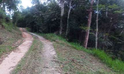 Lotes com metragens de 500 á 1800 m2 na Varginha em Sto Amaro da Imperatriz SC, melhor preço