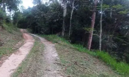 Lotes com metragens de 620 á 2 mil m2 na Varginha em Sto Amaro da Imperatriz SC, melhor preço