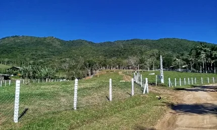 Lindo sítio já em produção de plantação. 6,5 hectares em santo amaro da imperatriz sc
