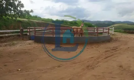 Chácara / sítio para alugar no Pouso Alegre, Santa Isabel 