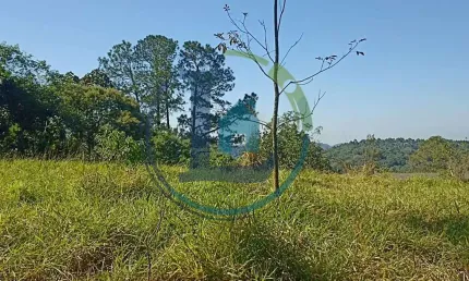 Chácara para venda em arujá, granja urupês, 2 dormitórios, 1 banheiro