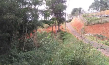 Terreno à venda na Estrada Morro do Gato, s/n, São Sebastião, Palhoça