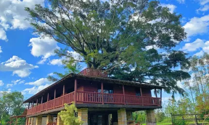 Ponto comercial à venda na Estrada Geral, 368, Centro, Praia Grande