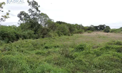 Terreno comercial para alugar na Rodovia Francisco Magno Vieira, Campeche, Florianópolis