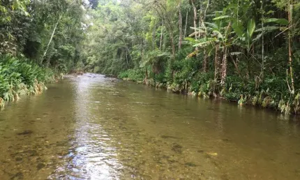 Sítio para Venda em Nova Friburgo, Macaé de Cima, 6 dormitórios, 4 suítes, 6 banheiros, 10 vagas