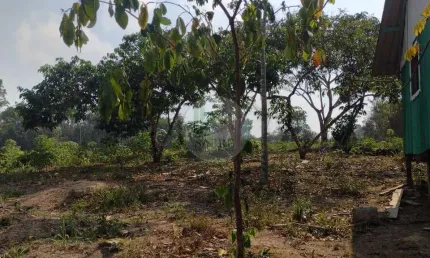 Terreno à venda na Zona Urbana Da Cidade Urucurituba, 288, Zona Rural, Urucurituba