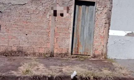 Terreno/área à venda, jardim nenê gomes - uberaba/mg