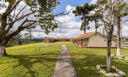Terreno à venda na Rua Basílio Lecheta, Planta Laranjeiras, Piraquara, 219615 m2 por R$ 8.000.000