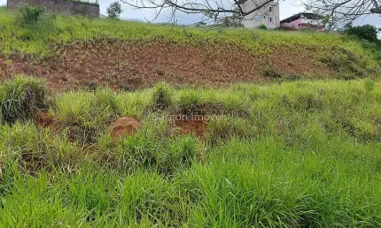 Terreno de 300 metros quadrados com platô para venda no Bairro Miguel Marinho em Juiz de Fora
