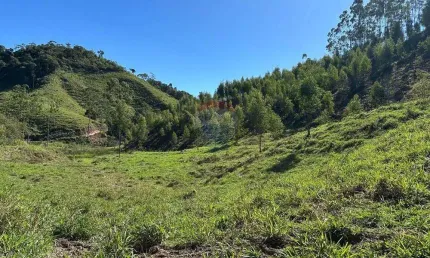 Fazenda em Braçanã para quem procura um excelente investimento ou tranquilidade.