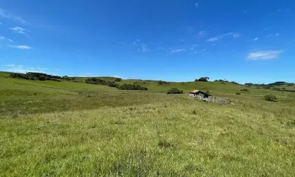 Fazenda à venda na Zona Rural, Caxias do Sul 