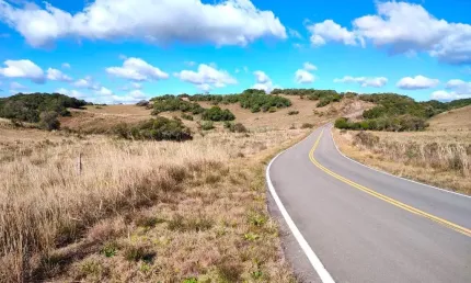 Chácara / sítio à venda em Criúva, Caxias do Sul 