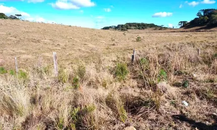 Chácara / sítio à venda em Criúva, Caxias do Sul 