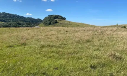 Chácara / sítio à venda na Zona Rural, Caxias do Sul 