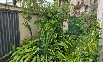 Casa com 4 quartos à venda no Belvedere, Belo Horizonte 