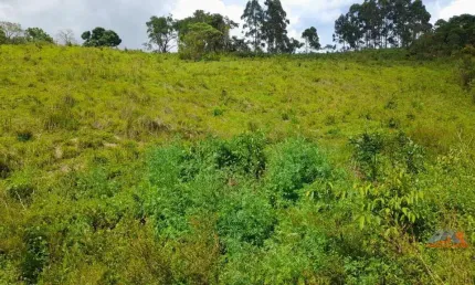 Terreno à venda na Zona Rural, Itapeva 