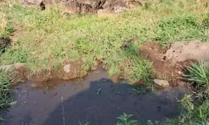 Terreno à venda no Centro, Vargem 