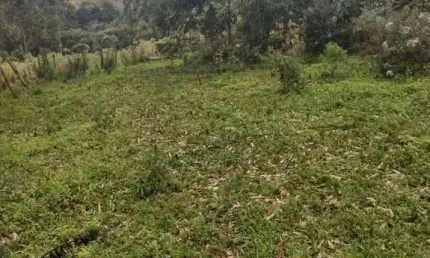 Casa à venda no Ribeirão Fundo, Munhoz 