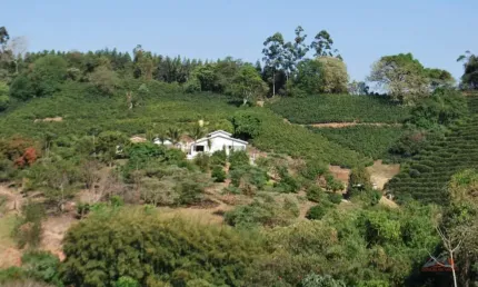 Fazenda à venda no Centro, Ouro Fino 