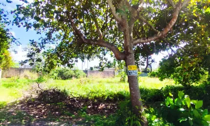 Terreno à venda na Avenida Portuaria, s/n, Porto de Galinhas, Ipojuca