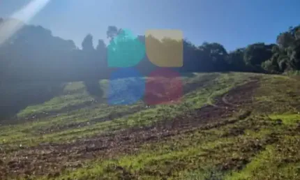 Chácara / sítio à venda na Rua Quinze De Maio S/n, Zona Rural, Balsa Nova
