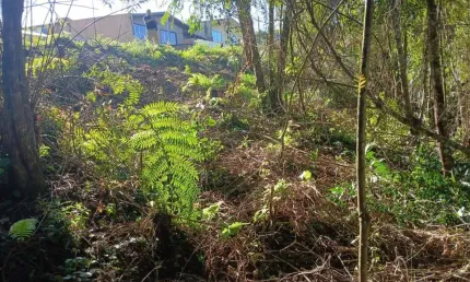 Terreno para venda em campo largo, conjunto habitacional monsenhor francisco gorski